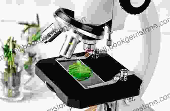 A Botanist Using A Microscope To Examine A Plant. Werner S Nomenclature Of Colours: Adapted To Zoology Botany Chemistry Mineralogy Anatomy And The Arts