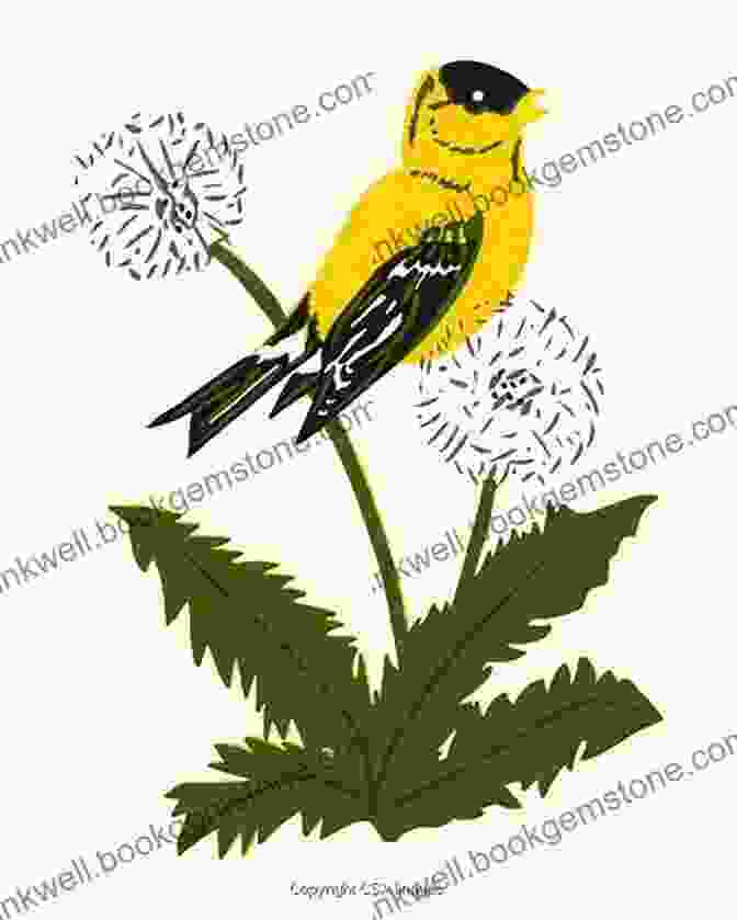 A Bright Yellow Canary Perched On A Blooming Sunflower, Its Cheerful Melody Filling The Air. Seven Little Known Birds Of The Inner Eye