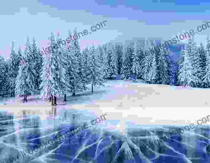 A Frozen Lake In The Middle Of A Forest Into Cold (Northridge Photography Presents 10)