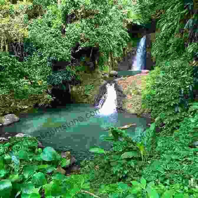 A Lush Waterfall Surrounded By Tropical Vegetation In Grenada 12MUSTS 2024: The Caribbean Magazine Michelle Lawson