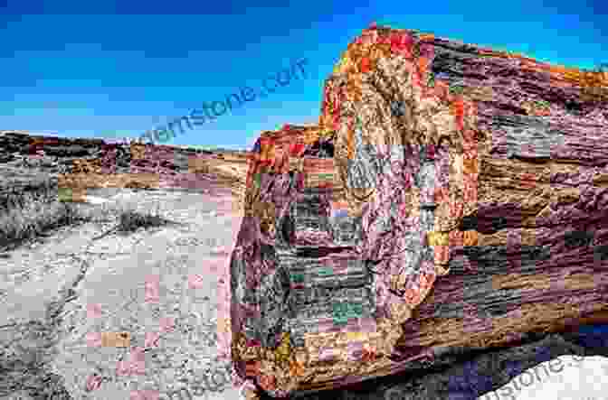 A Photo Of Petrified Forest National Park, With A Large Petrified Tree Trunk In The Foreground. Rockhounding New England: A Guide To 100 Of The Region S Best Rockhounding Sites (Rockhounding Series)