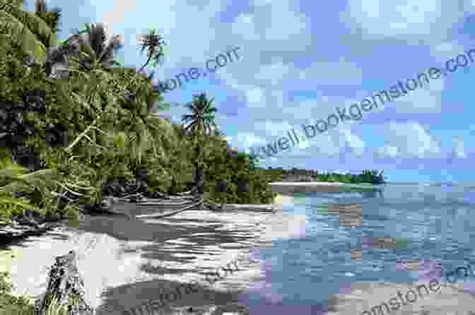 A Secluded Beach In Kosrae, Micronesia Micronesia S Eastern Caroline Islands: Kosrae Ponape Truk Beyond (Travel Adventures)