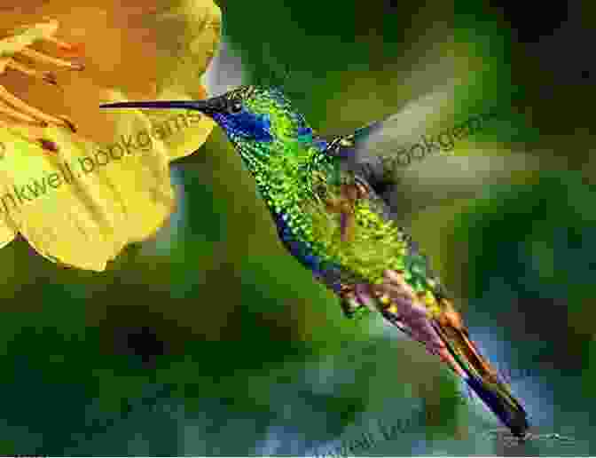 A Tiny Green Hummingbird Hovering Near A Vibrant Flower, Its Wings Beating With A Gentle Rhythm. Seven Little Known Birds Of The Inner Eye