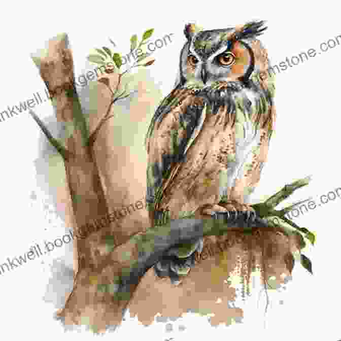 A Wise Old Owl Perched On A Gnarled Branch, Its Piercing Gaze Illuminating The Darkness. Seven Little Known Birds Of The Inner Eye
