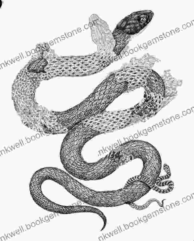 An Elegant Illustration Of A Snake Shedding Its Skin, Symbolizing Transformation And Rebirth In Ancient Greek And Global Mythologies Animal Motifs From Around The World: 140 Designs For Artists Craftspeople (Dover Pictorial Archive)